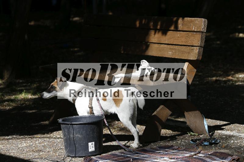 Archiv-2025/16 16.05.2025 PROMAX ADR/Impressionen